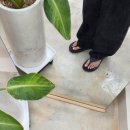 네일샵가넷 | [광주 일곡동 네일아트] 일곡동 네일아트 네일샵 가넷 내돈내산 후기 / 네일아트,패디큐어 추천
