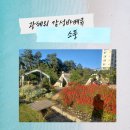 광혜원농장 | 감성과 힐링이 공존하는 진천 광혜원 바베큐 맛집 "소풍" 아이와 가볼만한곳