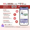 세종마트 약국 이미지