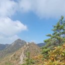 으뜸만물상