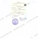 법무법인재유대림분사무소