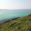 제주도 가족 펜션 오드리하우스 이미지