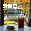 카페오(CAFE O) | 화명동 카페 카페오 | 베이커리 대형 카페 카페오