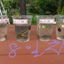 연자농장 이미지