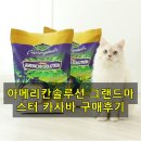 그랜드마스터카 | 아메리칸솔루션 카사바 모래로 화장실 냄새 고민 끝!
