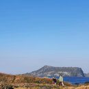 오션 아레나 이미지