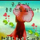 하루 이미지