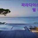 파라다이스모텔 | 크리스마스 해운대 호텔 모텔 추천 파라다이스 호텔 부산 해운대 최고의 호캉스