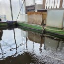 상무낚시터 | 광주 실내낚시터 상무낚시터 가족 나들이 후기 붕어, 잉어, 향어 손맛 제대로 보고 왔습니다