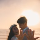 더로그제주 이미지