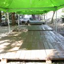 반디캠프 이미지