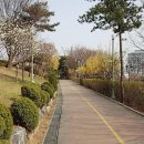 인창중앙공원(산책로) 이미지