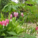 바위샘펜션 이미지