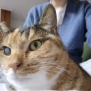 퍼스트유 이미지