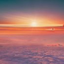 주식회사 위바 | 한달 넘게 역대급 수온을 기록하는 바다 고온현상 어떻게 설명하죠?