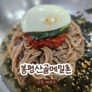 메밀촌 봉평막국수 | 효성동 막국수 맛집 봉평산골메밀촌ㅣ감자전까지 완벽했던 재방문 후기