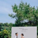 밀드플레 이미지