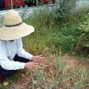 흥덕농장 이미지