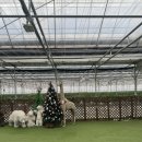 다인농장 이미지