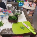 죽정현대아파트 | 6개월 성장기록