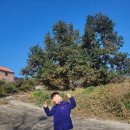 다담뜰한식뷔페상주점 이미지