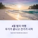 발리 티스토리