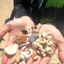 딱조아PC방 | 코타키나발루 여행기 🇲🇾🐠