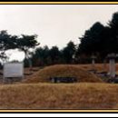 숙안공주묘 이미지