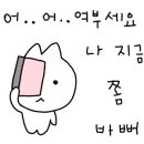 순이네가자 - 고흥군 고흥로 1783 | 순이네가자