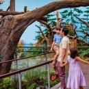 리버퀘스트 이미지