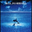 그랑블루 이미지