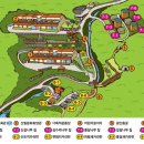 팔공산금화자연휴양림 이미지