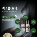 모앤영 김포장기점
