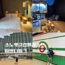 신퍼피클럽 동물병원 | [공지] 강원도 호캉스 여행 애견동반 가능한 펫프랜들리 호텔 추천 소노펫 클럽앤리조트 비발디파크