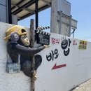 예원로 | [제주/애월 정식 맛집] 수산리 ‘바오밥 정식‘ 내돈내산 두번째 방문 솔직후기