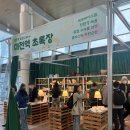초록장 이미지