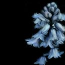 이천축산농협 이미지