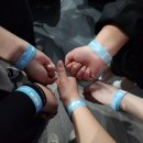 왈왈이 Daum카페
