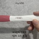 원포스콘 | 시험관 이식 후 음식 배아이식 4일차 5일차 6일차 7일차 임테기 흐린두줄