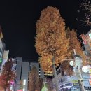 뷰티댄스스포츠아카데미 네이버블로그