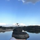 힉힉호무리 | 힉힉호무리.zip