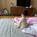 철든돼지 | [26-12] 미친사람 시즌3. 냄비밥