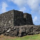 서림연대 이미지