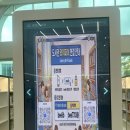 꿀벌 | <당진> 꿀벌 도서관 방문 후기 영유아 갈만한 곳