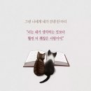 소소한 행복 이미지