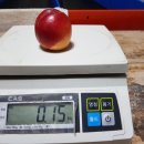 이영신 농장 이미지