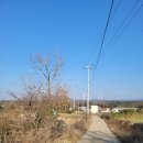 마중오름 이미지