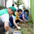 자금동 작은도서관 이미지