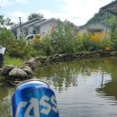 경남용추민박 이미지