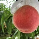 하송농장 이미지